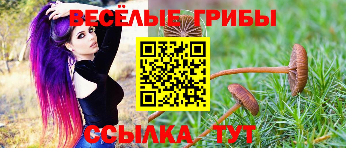Псилоцибиновые грибы Magic Shrooms Алексин