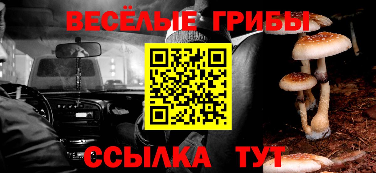Алексин  Псилоцибиновые грибы Psilocybe  Вход с VPN 